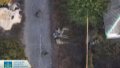 Occupiers shoot 6 captured AFU soldiers in Pokrovsk Axis - prosecutor's office