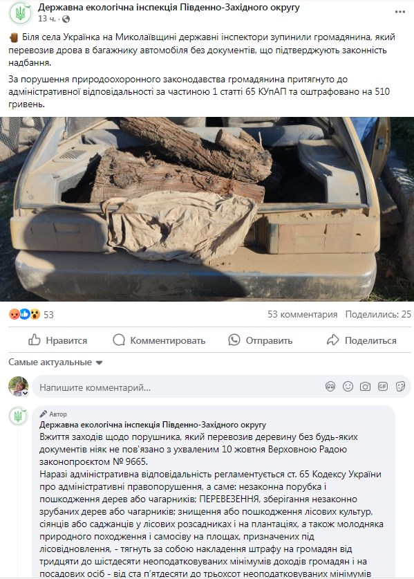 Деревина. Фото: Державна екоінспекція Південно-Західного округу
