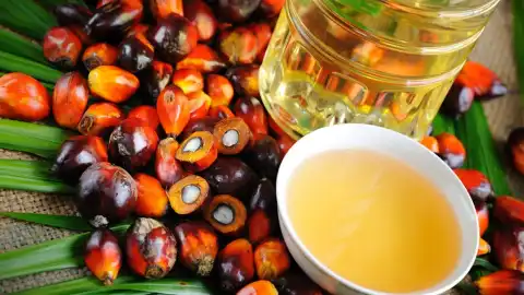 Пальмовое масло. Фото: graintrade.com.ua