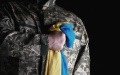 Ukraine returns bodies of 563 fallen Defenders