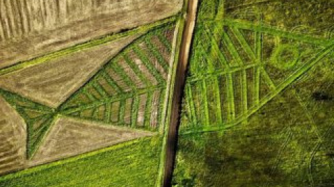 Искусственные границы созданные людьми легко преодолеваются при помощи арт культуры.