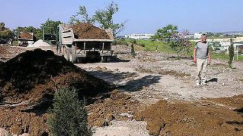 Облагораживание шло полным ходом.