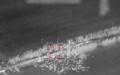 Defense Intelligence shows missile attack on accumulation of Pskov paratroopers in Zaporizhzhia Region