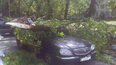 Ураган в Киеве: уничтожено десятки деревьев и машин