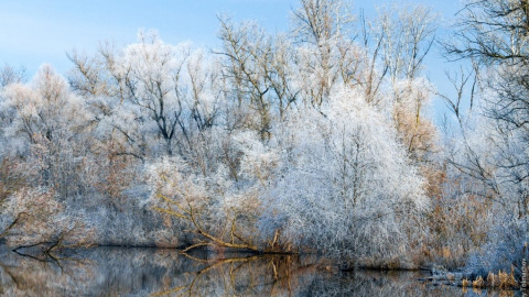 Зимова казка на Хортиці Фото: facebook.com/alexey.tolmachov