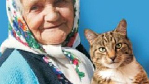 Плакат с антивластных агитацией - с бабушкой и котом.