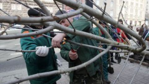 На Крещатике высадили более 70 молодых итальянских каштанов "Бриоти".