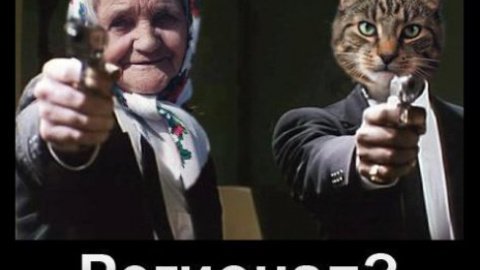 В Сети массово "переписуют хату на кота"