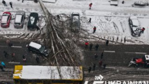 В центре Киева огромное дерево упало на автобус