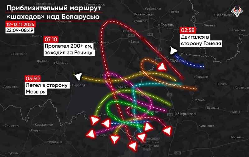 Інфографіка Беларускі Гаюн