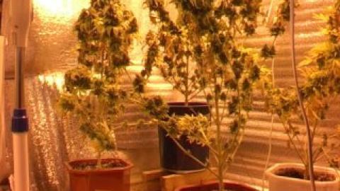 Фото пресс-службы УМВД в Запорожской области