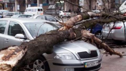 Автомобили получили повреждения.