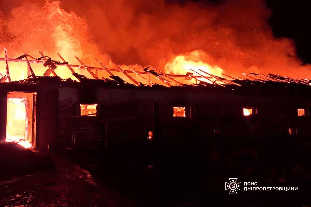 Фото: ДСНС Дніпропетровщини