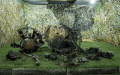 What Oreshnik looks like. Journalists were shown wreckage of missile, with which russia hit Dnipro, for the
