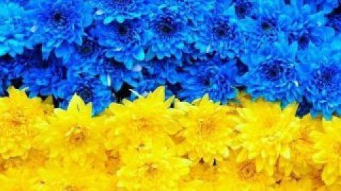 Тысяча мариупольцев собрались сегодня на митинг за единство Украины