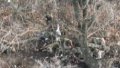 Invaders shoot another 4 prisoners of war in Pokrovsk District