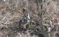 Invaders shoot another 4 prisoners of war in Pokrovsk District