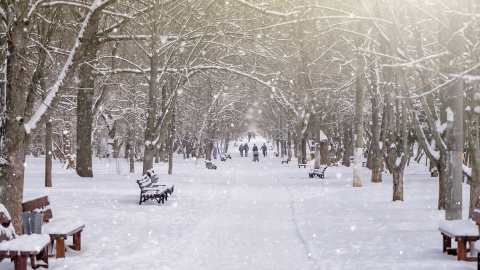 Зима. Фото: pixabay