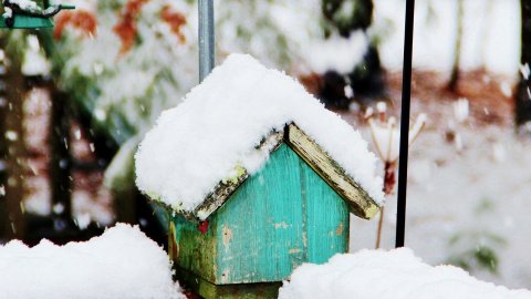 Зима. Фото: pixabay