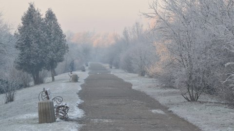 Зима. Фото: pixabay