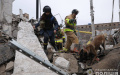 Search and rescue operation completed in Zaporizhzhia at site of russian missile strike