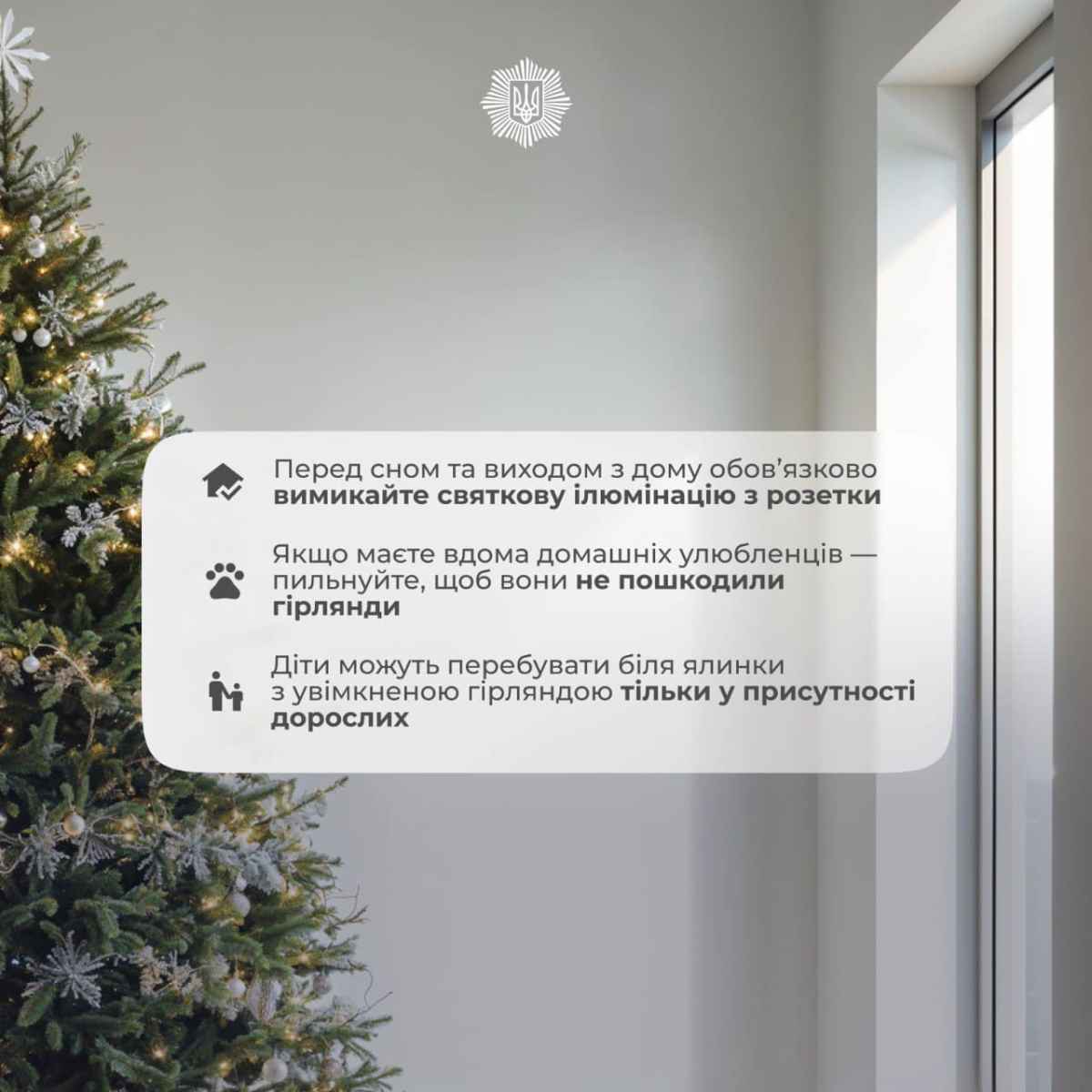 Правила встановлення ялинки. Інфографіка: МВС