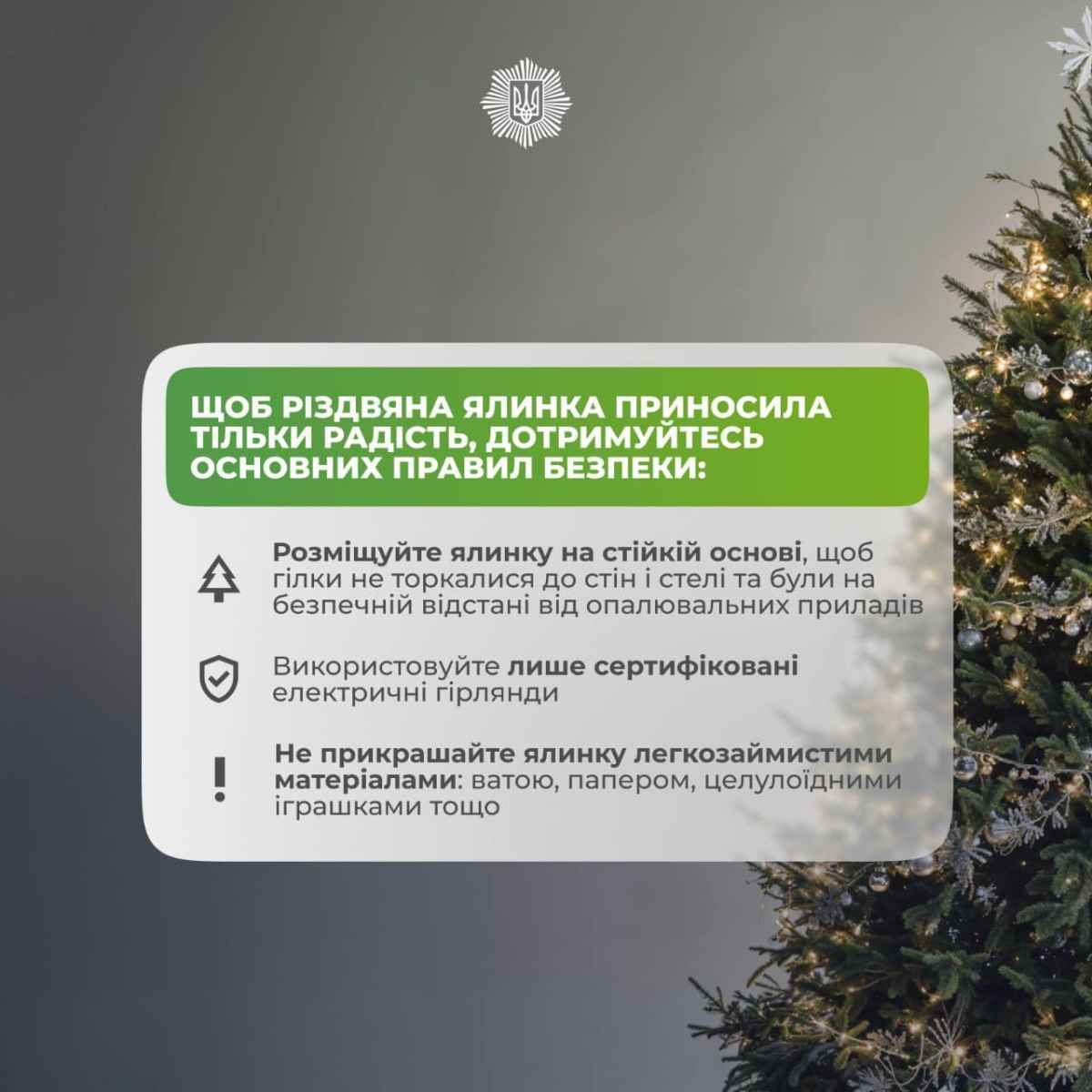 Правила безпечного встановлення ялинки. Інфографіка: МВС
