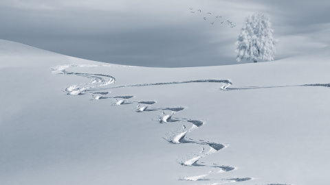 Зима. Фото: pixabay