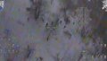Special Operations Forces report destruction of 50 North Korean soldiers in Kursk Oblast