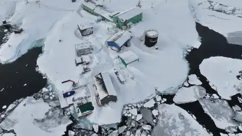 Фото: Национальный антарктический научный центр