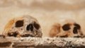 Remains of at least 100,000 people killed by regime of fugitive dictator Assad found near Damascus - Reuters
