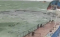 Damage caused to ecosystem due to tanker accident in Black Sea reaches USD 14 billion - Natural Resources
