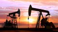 Oil falls on economic risks from Trump's trade war