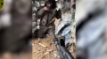 In Toretsk Axis, Ukrainian defenders capture Egyptian citizen. Video