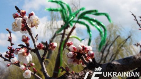 В Севастополе прошла выставка скульптур из бутылок