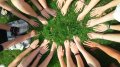 World population grew by 71 million in 2024 – AP
