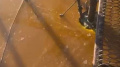 Tons of sunflowerseed oil spill into Pivdennyi Buh River in Mykolaiv Region due to drone attack