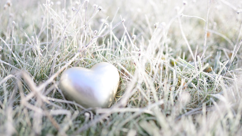 Зима. Фото: pixabay