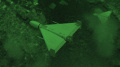 Air defense forces shoot down 34 of 81 enemy UAVs at night