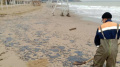 In occupied Sevastopol, invaders declare state of emergency due to fuel oil on beaches