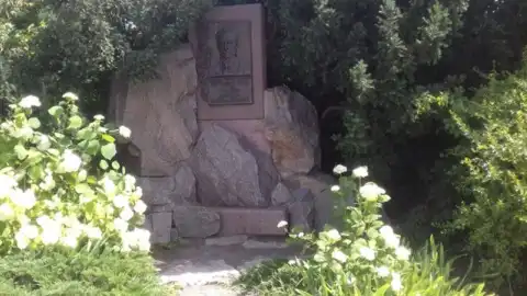 НАН віддала парк Ботсаду забудовнику, влада Києва вимагає від уряду втрутитись, - Кличко