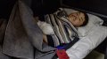 Ukrainian soldiers capture two North Korean soldiers - President Zelenskyy