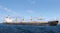 Cargo turnover of Ukrainian ports in 2024 reaches record-breaking figure - USPA