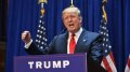 Trump Wins Presidential Election In USA