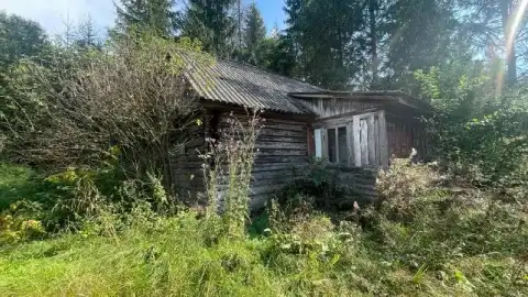 Фото з опису лоту на Prozorro.sale