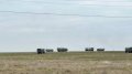 Occupiers move equipment in Crimea after Ukrainian UAV attacks - partisans