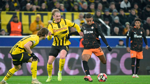 Матч "Боруссія" (Дортмунд) - Шахтар (Донецьк). Фото: shakhtar.com