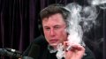 Elon Musk granted status of special civil servant in US