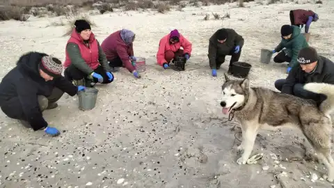 Уборка мазута вручную. Фото: Иван Русев.
