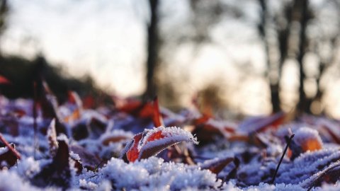 Зима. Фото: pixabay